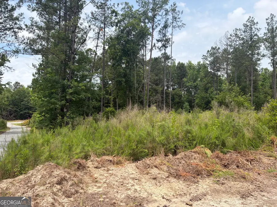 5 Sunhill Grange Road, Davisboro, GA 31018 - #3