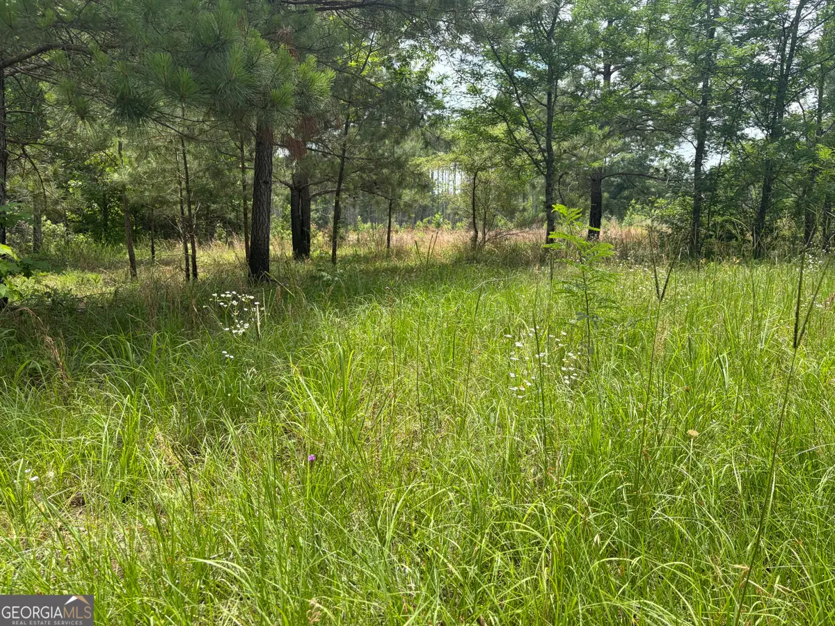 6 Sunhill Grange Road, Davisboro, GA 31018 - #1