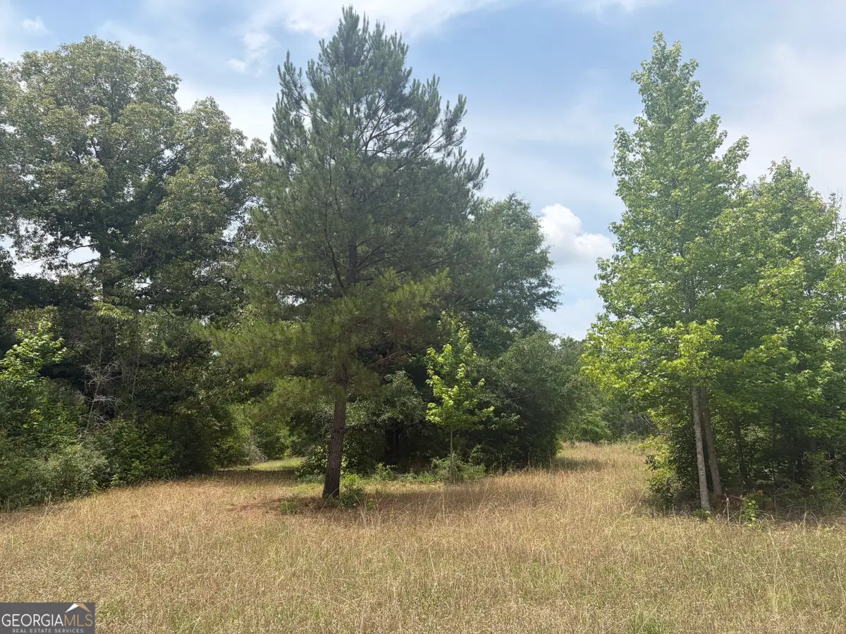 8 Sunhill Grange Road, Davisboro, GA 31018 - #1