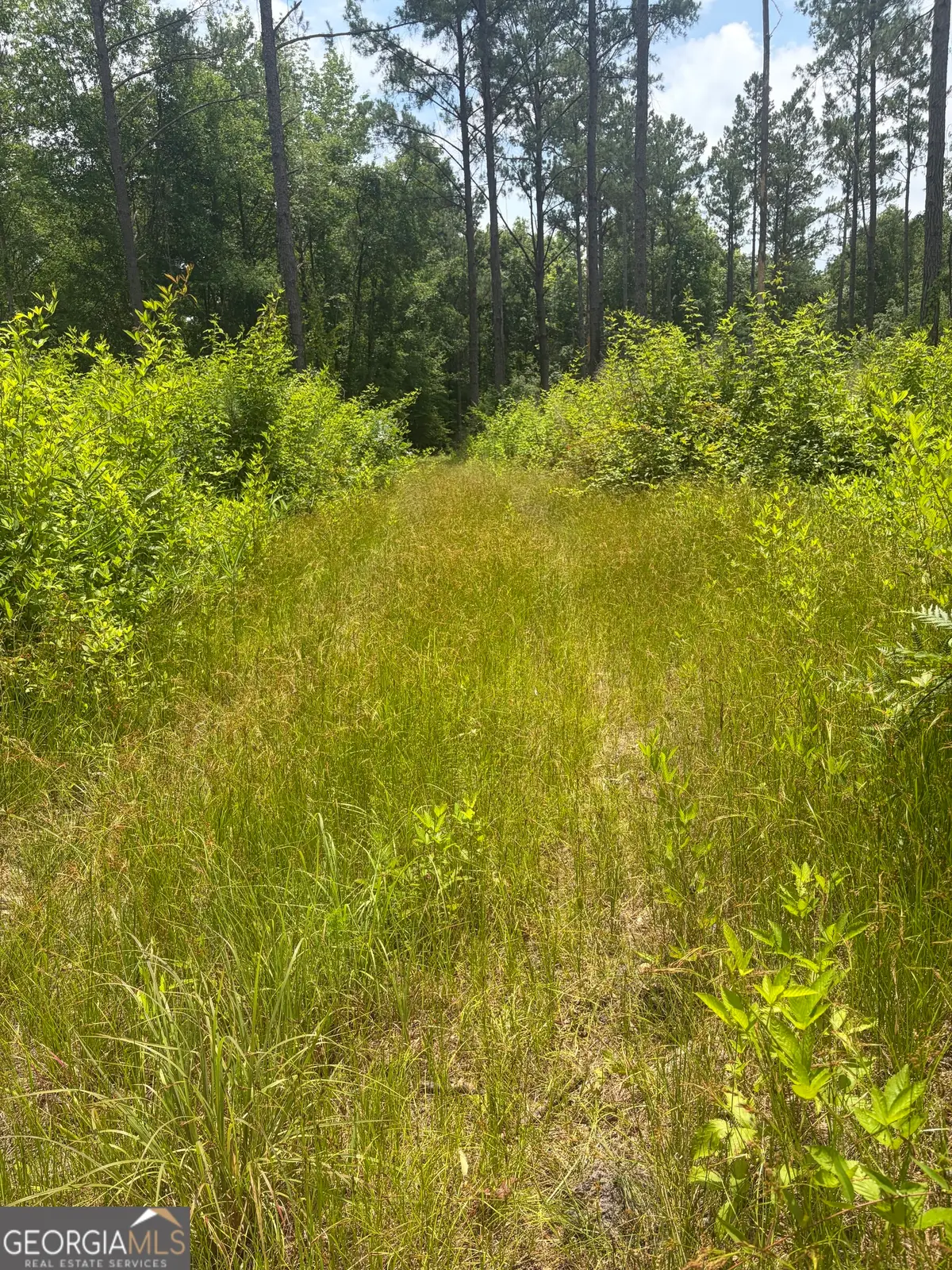 10 Sunhill Grange Road, Davisboro, GA 31018 - #1