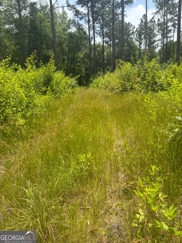 10 Sunhill Grange Road, Davisboro, GA 31018