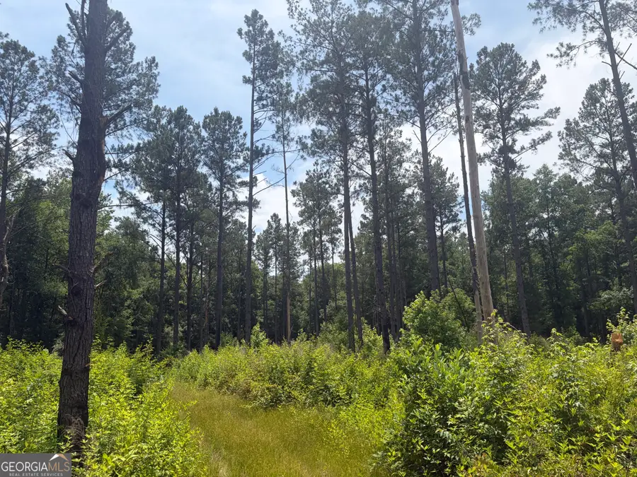 10 Sunhill Grange Road, Davisboro, GA 31018 - #3