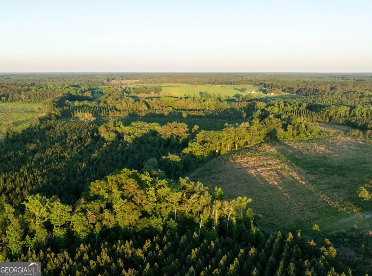 004 Beulah Road Tract 4, Sylvania, GA 30467 - #1