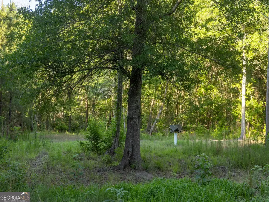 004 Beulah Road Tract 4, Sylvania, GA 30467 - #3