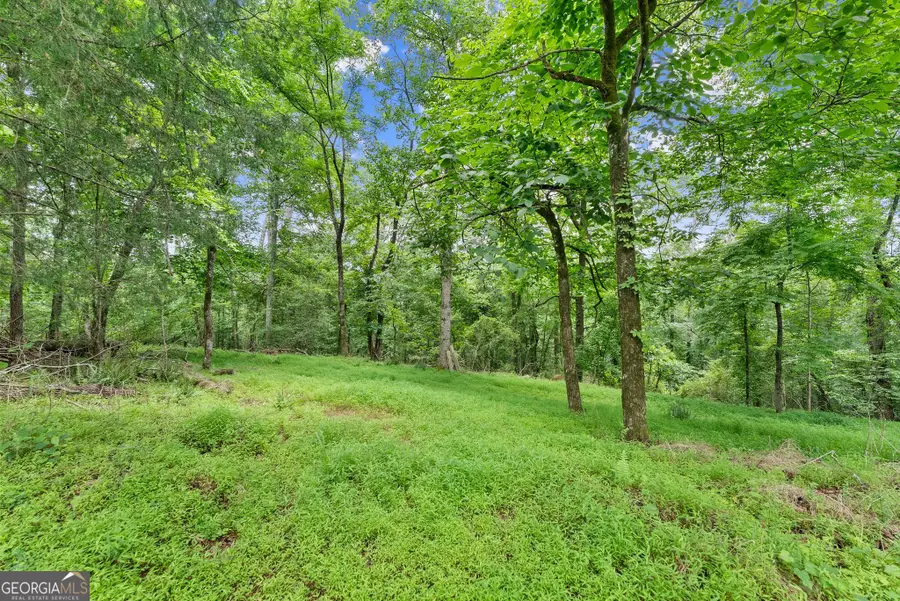 LOT 35 Lakemont Trail, Demorest, GA 30535 - #2