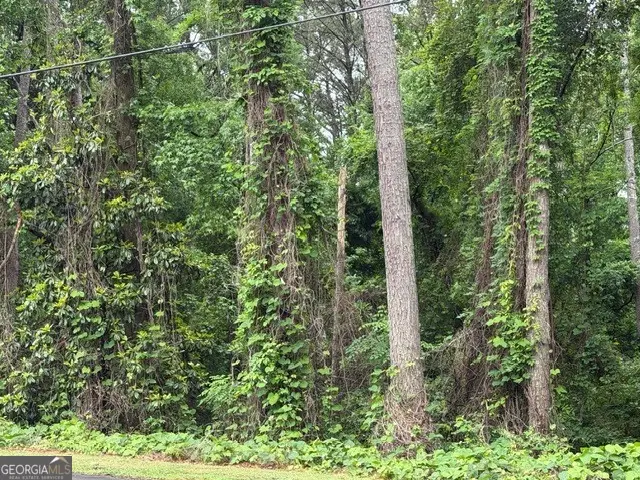 0 Johnson Road, Palmetto, GA 30268 - #3