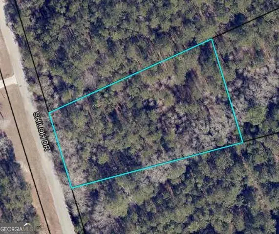 204 Shiloh Drive, Brooklet, GA 30415