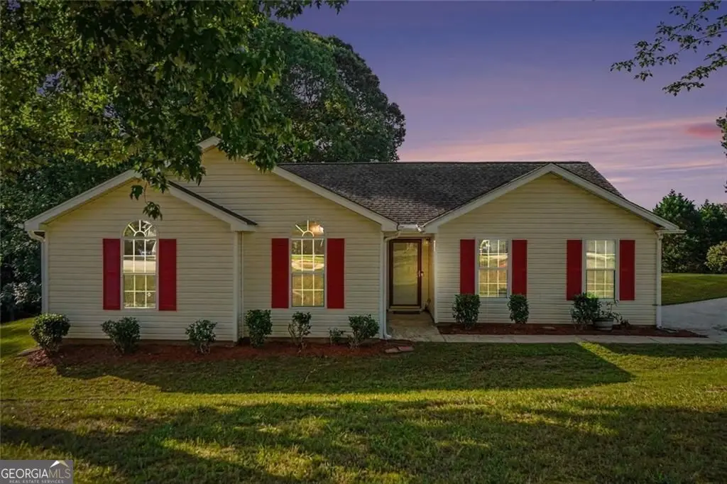 4466 Big Bluff Court, Douglasville, GA 30135 - #1