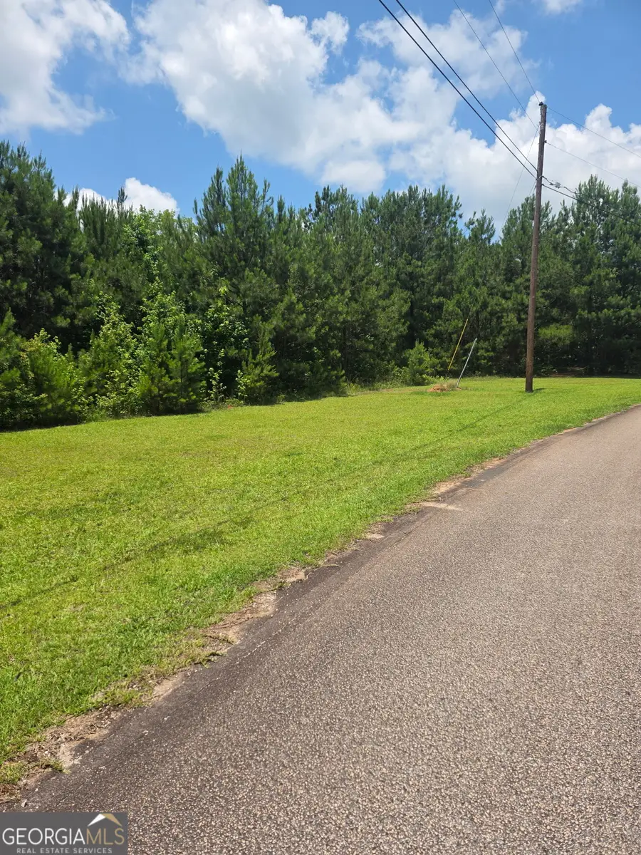 0 Mountain Brook Road, Hogansville, GA 30230 - #3