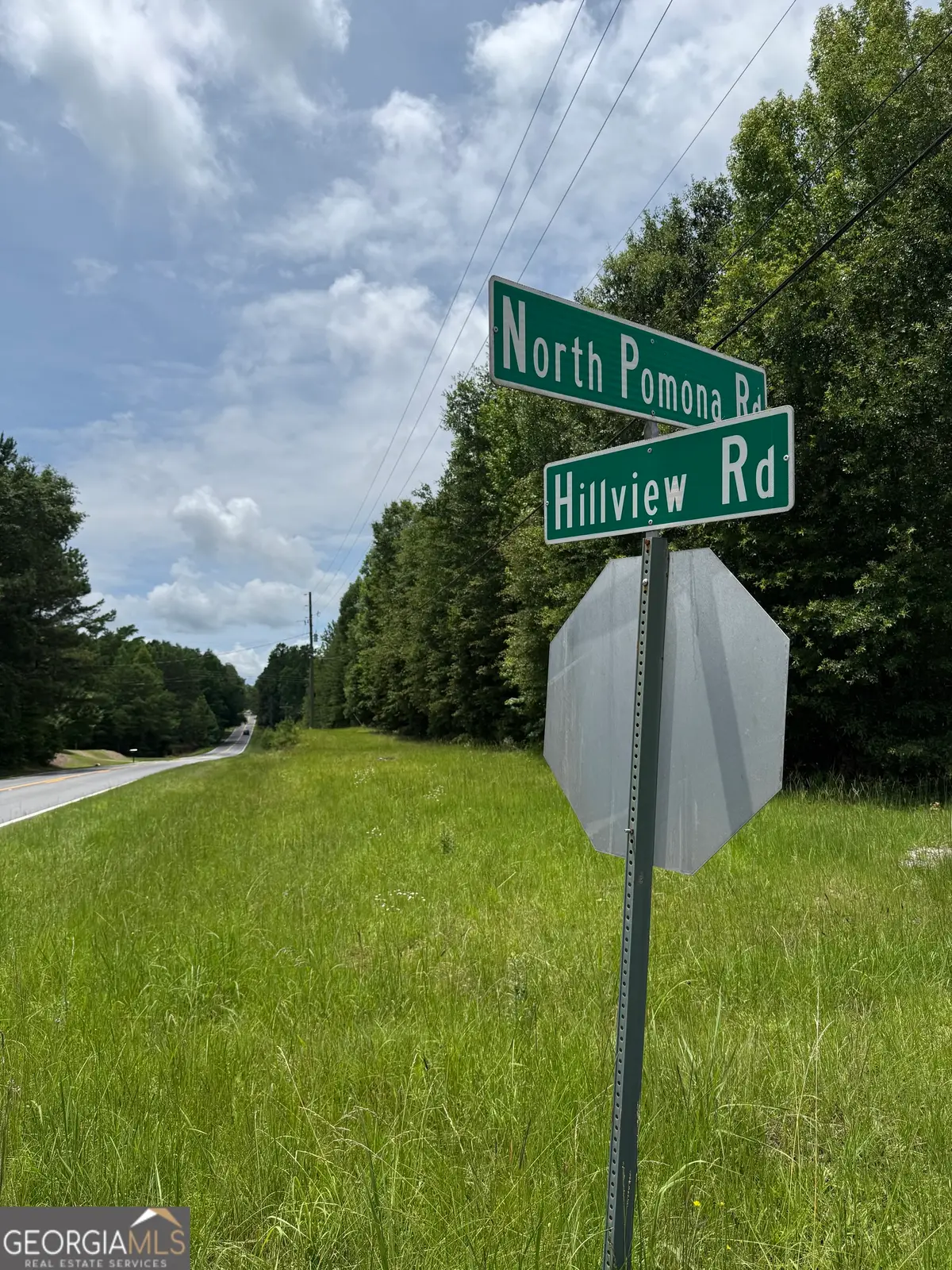 LOT# 148 Hillview Road, Hampton, GA 30228 - #1