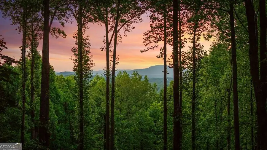 391 Little Bushy Head Road, Blue Ridge, GA 30513 - #2