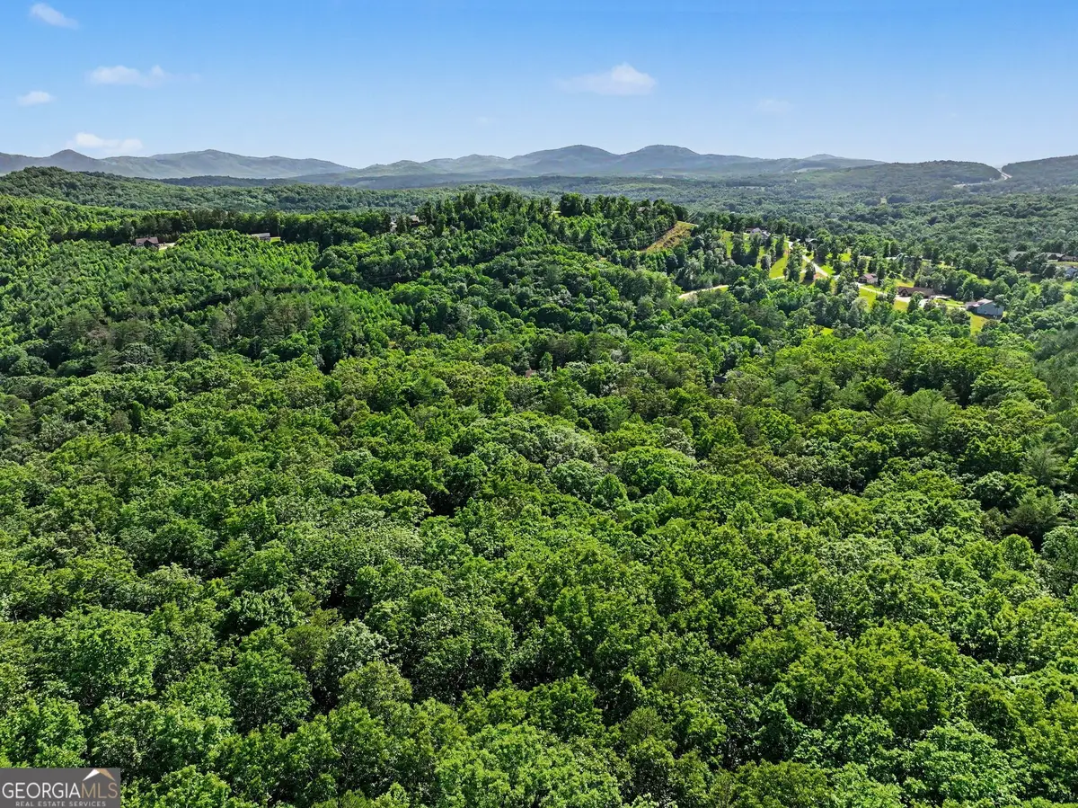 230 Rushing Water Drive, Blairsville, GA 30512 - #1