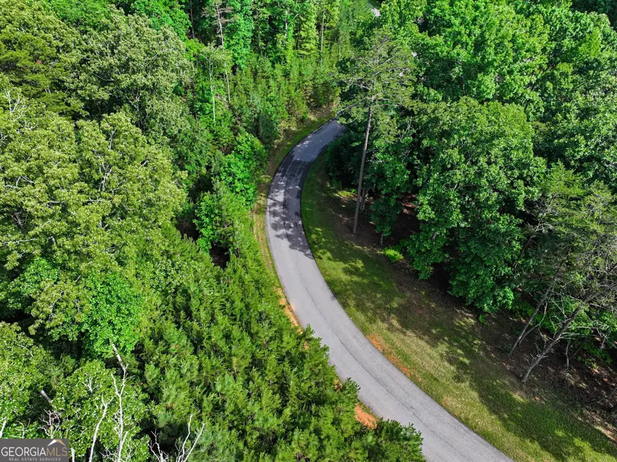 230 Rushing Water Drive, Blairsville, GA 30512 - #3