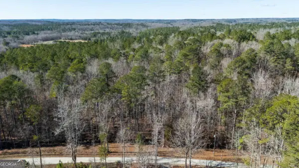 0 Pace Road, Chattahoochee Hills, GA 30213