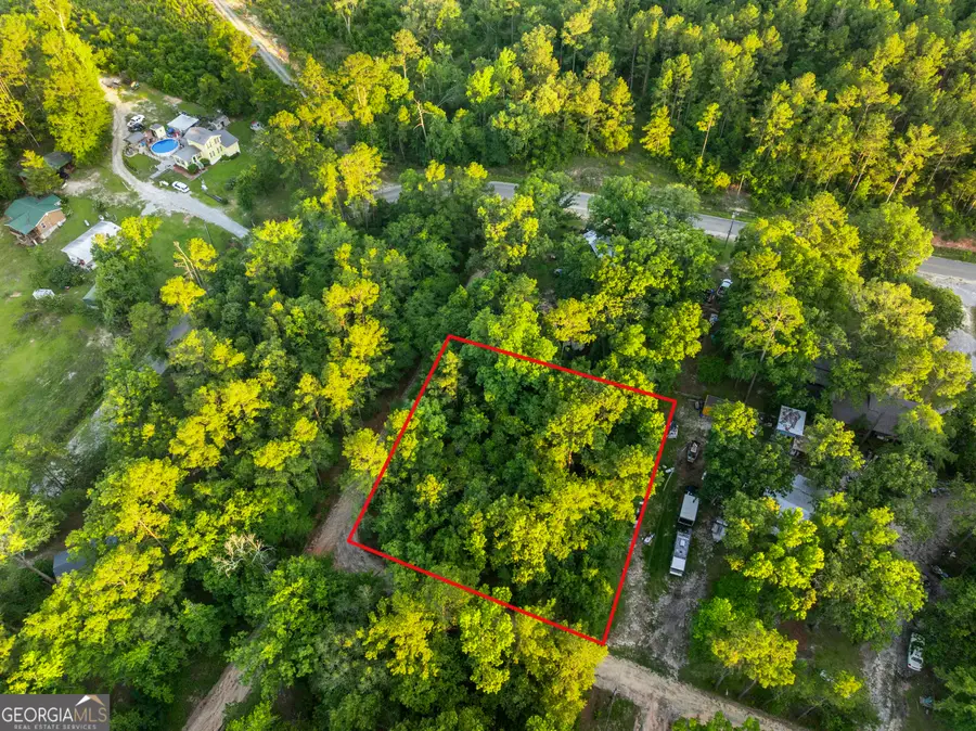 0 River Loop Road, Baxley, GA 31513 - #2