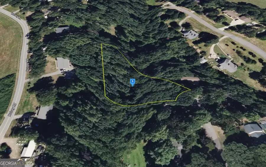 6157 Hulsey Dr, Clermont, GA 30527 - #3