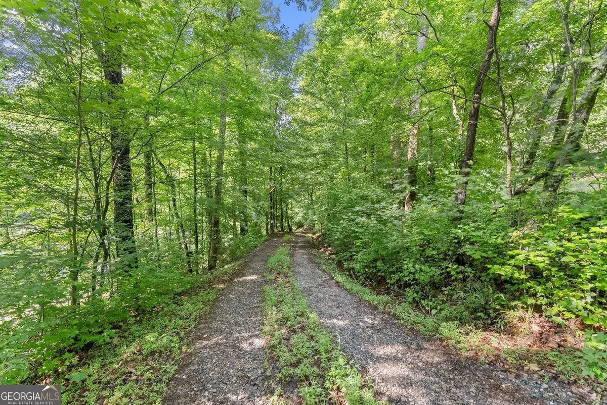 0 Long Branch Road, Dahlonega, GA 30533 - #1