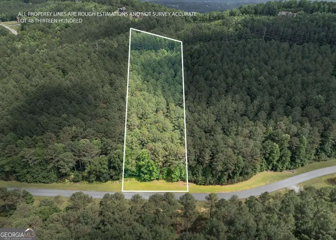 LOT 48 Thirteen Hundred, Blairsville, GA 30512 - #1