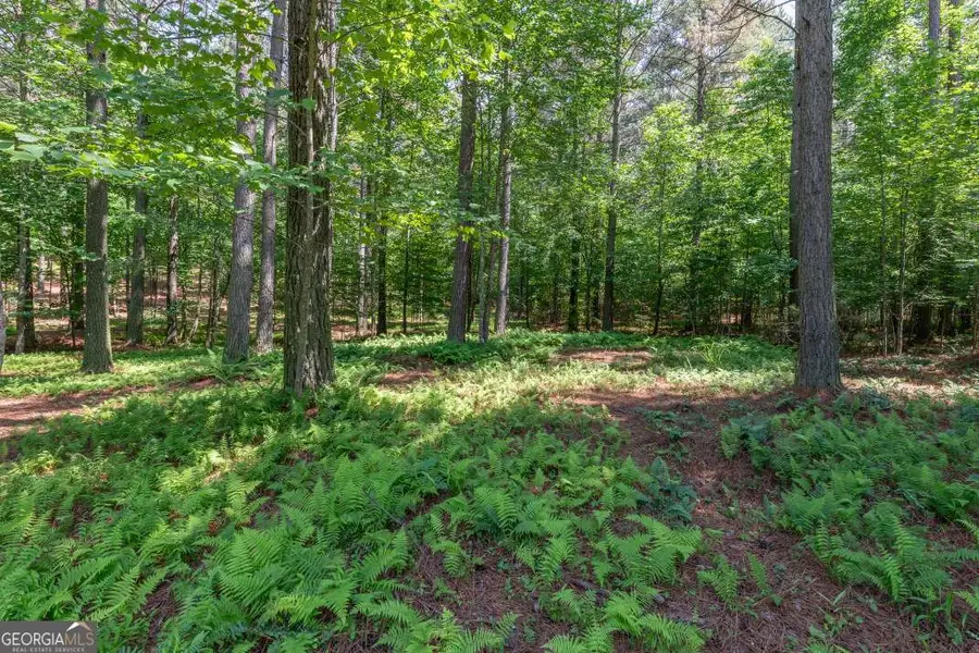 LOT 48 Thirteen Hundred, Blairsville, GA 30512 - #2