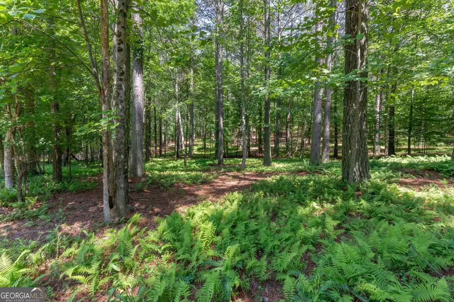 LOT 48 Thirteen Hundred, Blairsville, GA 30512 - #3
