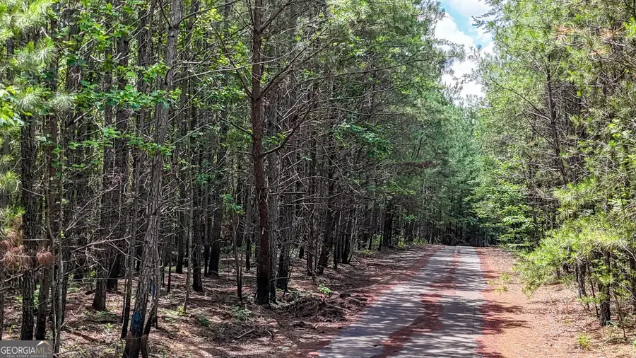 47 Lot #LOT 47, Braswell, GA 30153 - #2