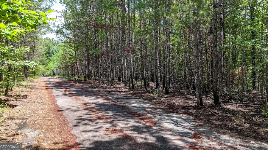 47 Lot #LOT 47, Braswell, GA 30153 - #3