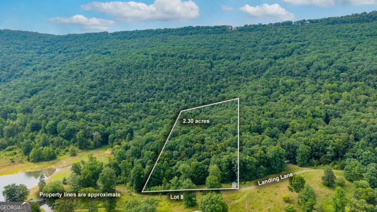 0 Newsome Gap Road, Rising Fawn, GA 30738 - #1