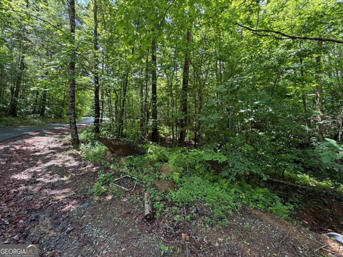 2.75AC Quail Ridge Road, Epworth, GA 30541 - #1
