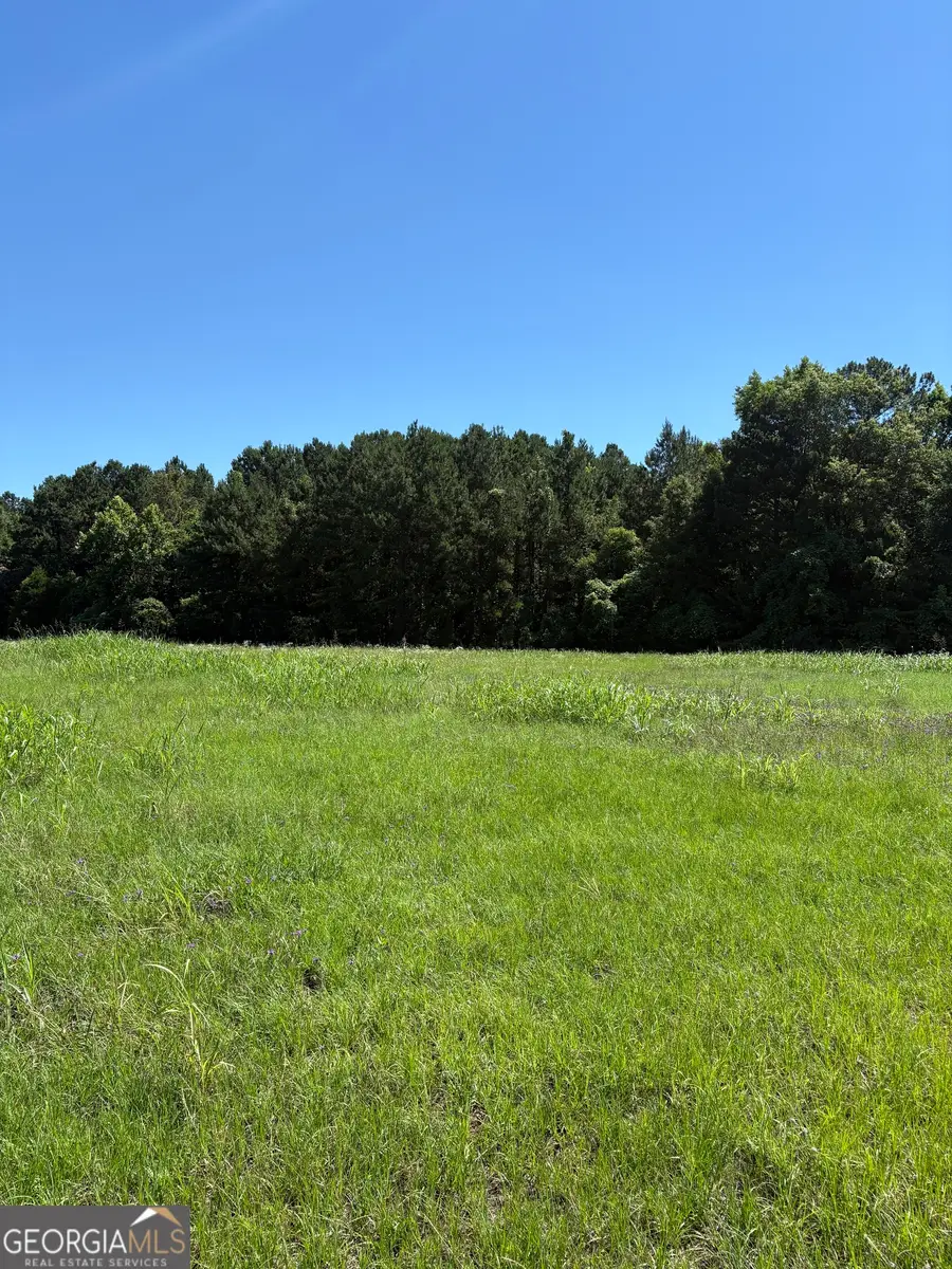 5.69 M Friedman Drive, Sandersville, GA 31082 - #3