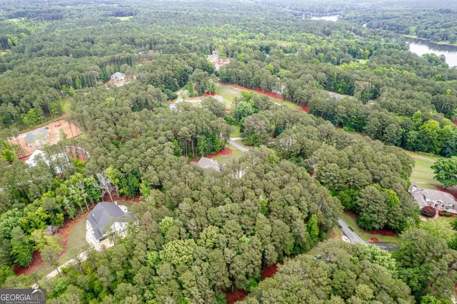 2441 Club Drive, Greensboro, GA 30642 - #3