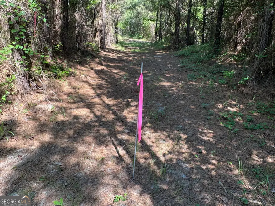 L9 N Indian Trail Road, Sandersville, GA 31082 - #2
