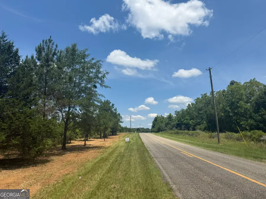 004 Fountain Bridge Road, Cuthbert, GA 39840 - #3