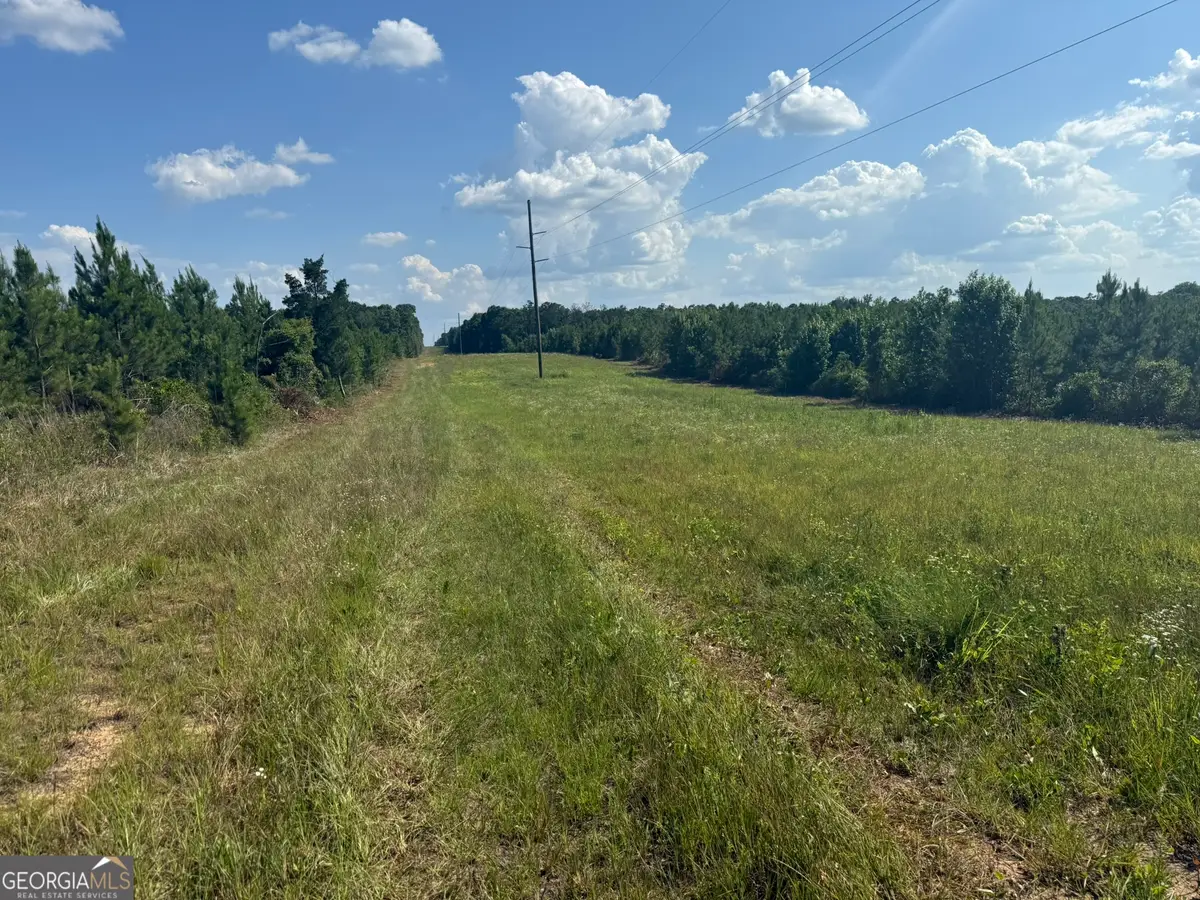 009 George Milling Road, Cuthbert, GA 39840 - #1