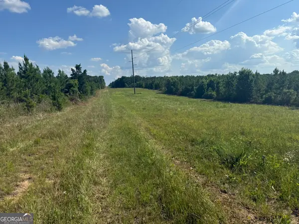 009 George Milling Road, Cuthbert, GA 39840