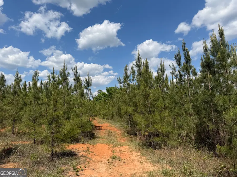 009 George Milling Road, Cuthbert, GA 39840 - #3