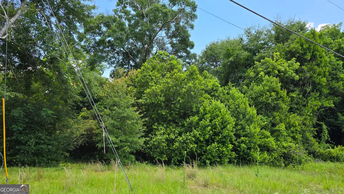 3328 Rice Mill Road, Macon, GA 31206 - #1