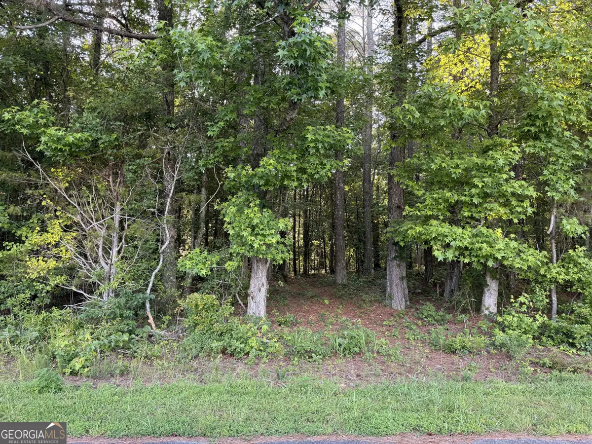 0 Wildcat Road, Buchanan, GA 30113 - #1