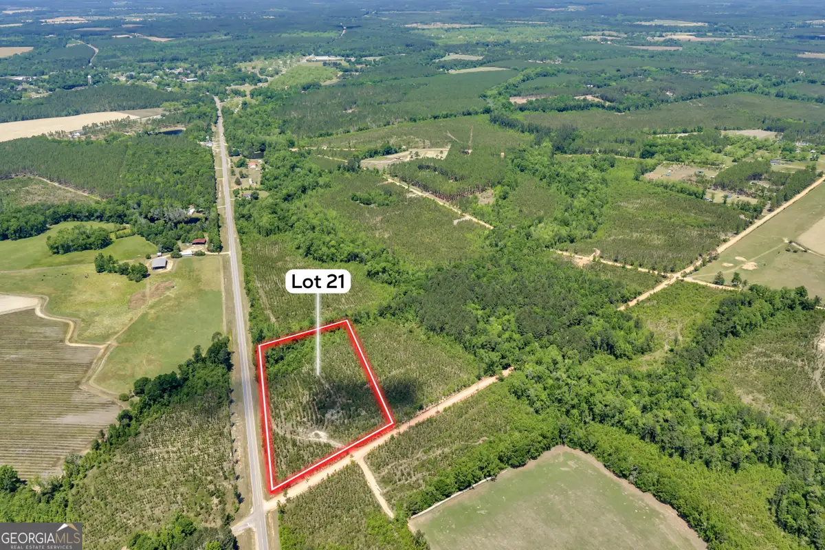 21 Hwy 126, Cadwell, GA 31009 - #1