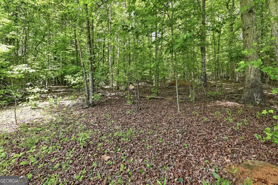 171 Laceola North Road, Cleveland, GA 30528 - #2