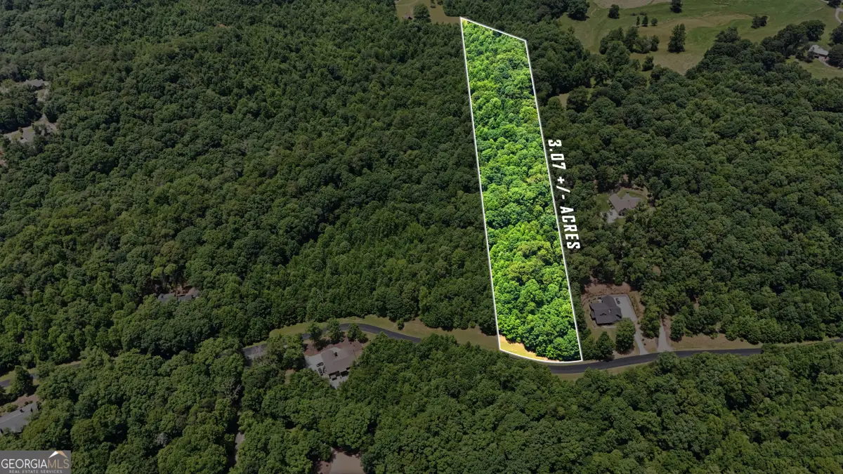 172 Laceola North Road, Cleveland, GA 30528 - #1