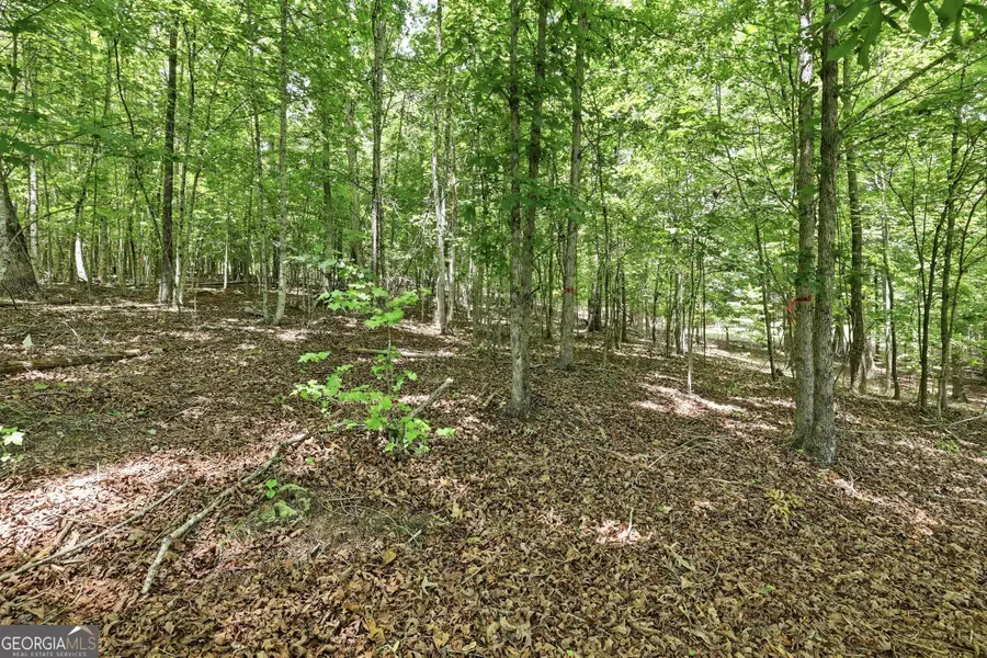 172 Laceola North Road, Cleveland, GA 30528 - #2