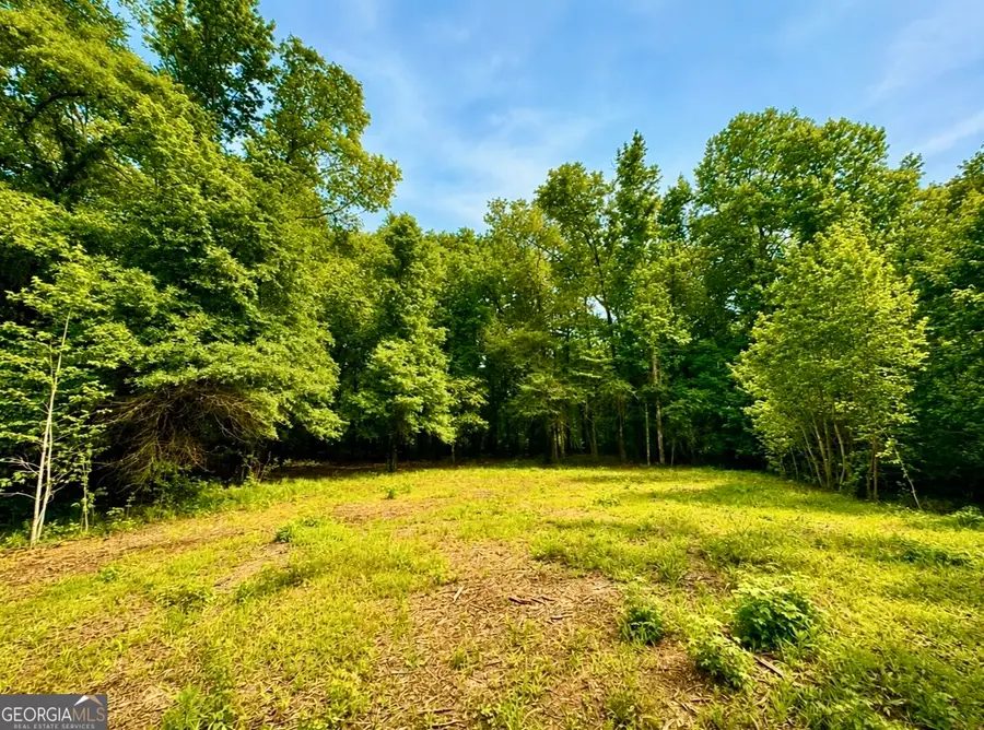 0 Rocky Creek Rd Road, Thomaston, GA 30286 - #2