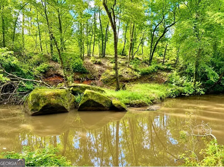 0 Rocky Creek Rd Road, Thomaston, GA 30286 - #3