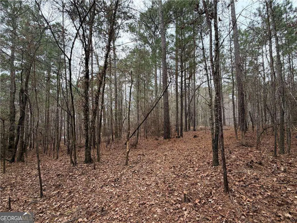 1700 Northwoods Drive, Greensboro, GA 30642 - #1