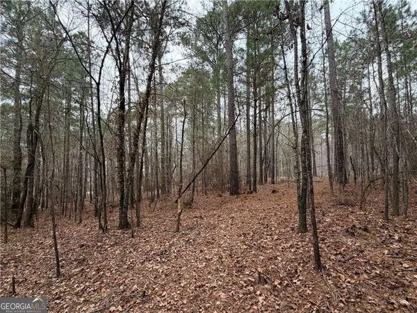 1700 Northwoods Drive, Greensboro, GA 30642
