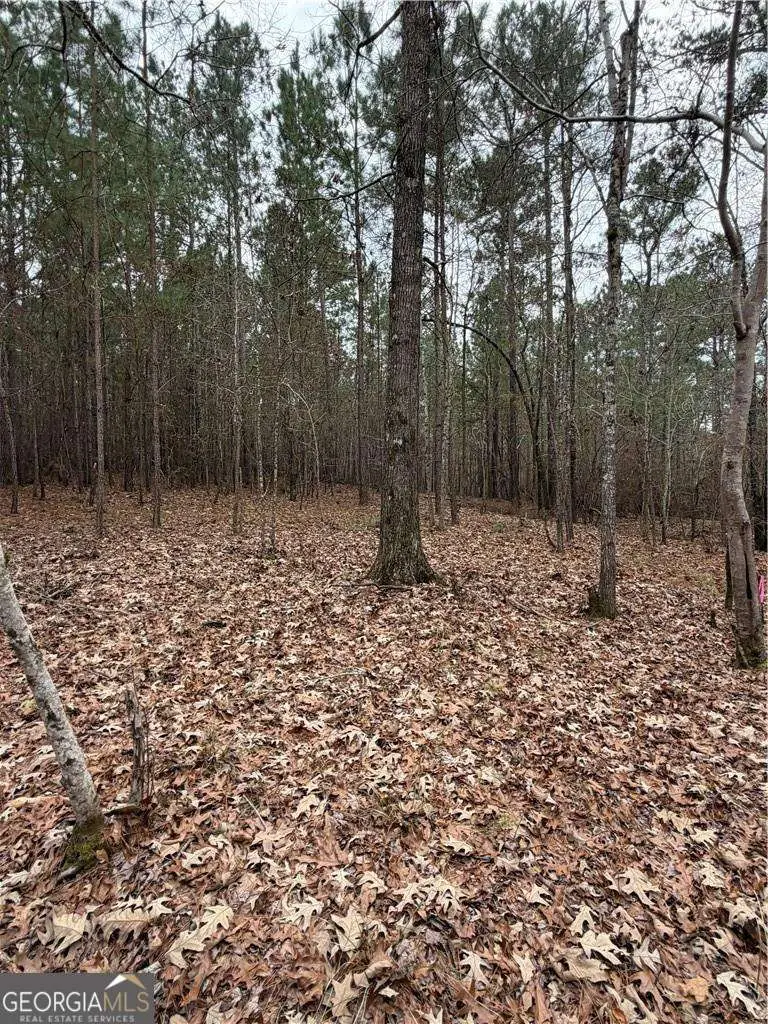 1700 Northwoods Drive, Greensboro, GA 30642 - #3