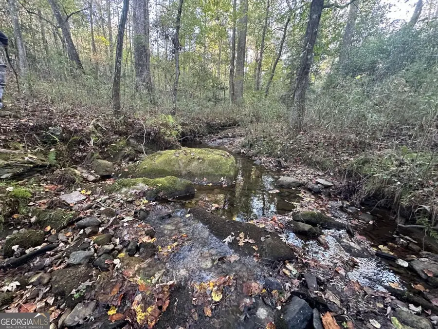 0 Lee Mashburn Road, Dahlonega, GA 30533 - #2