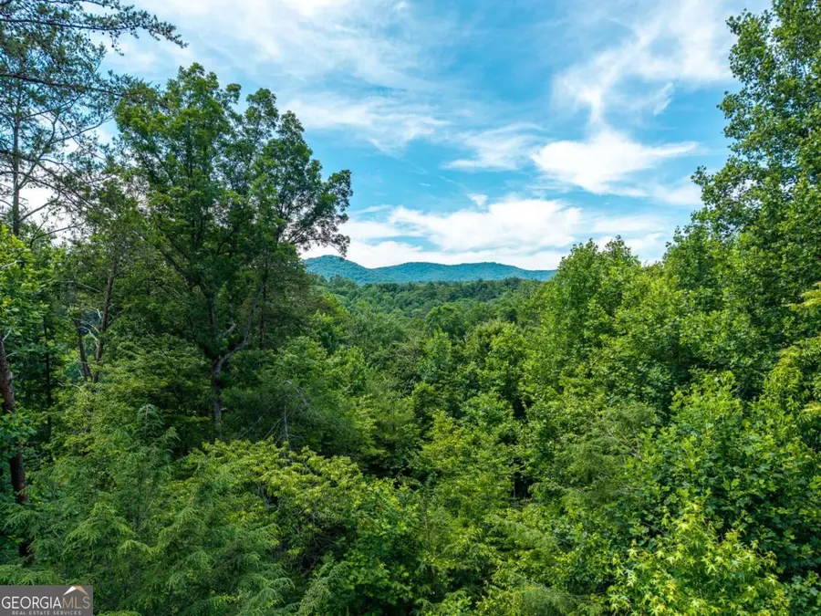 1172 Settlers Ridge Road, Ellijay, GA 30540 - #3