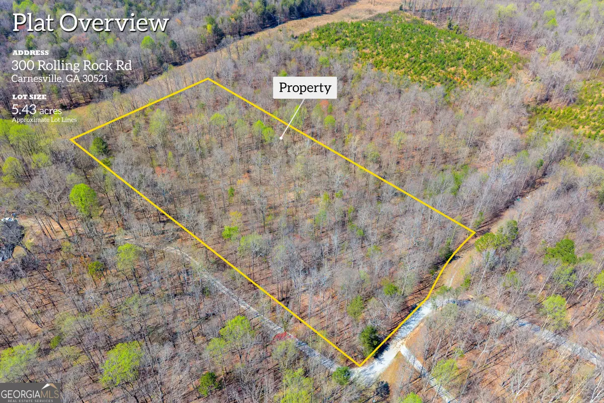 0 Rolling Rock Road, Carnesville, GA 30521 - #1