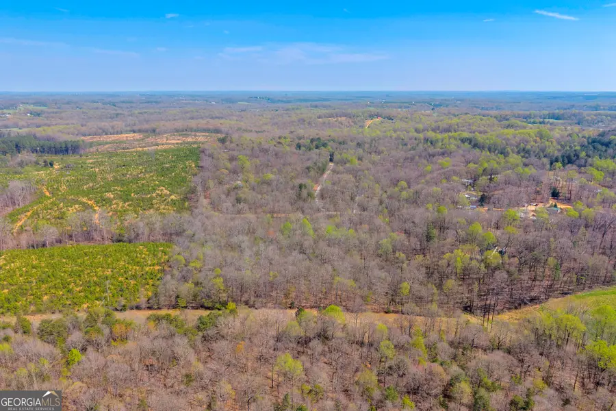 0 Rolling Rock Road, Carnesville, GA 30521 - #2